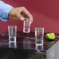 Kieliszki z grubym dnem do wódki i shotów Roy 6 x 30 ml