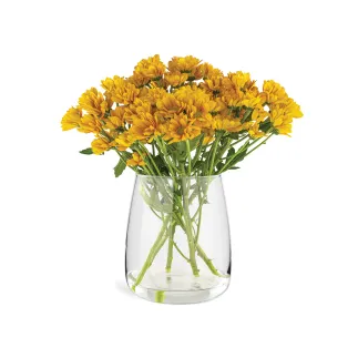 Wazon dekoracyjny Emma 22,7 cm