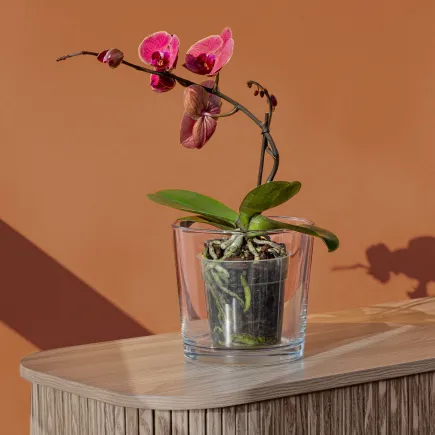 Osłonka, pojemnik dekoracyjny Linea 16 cm