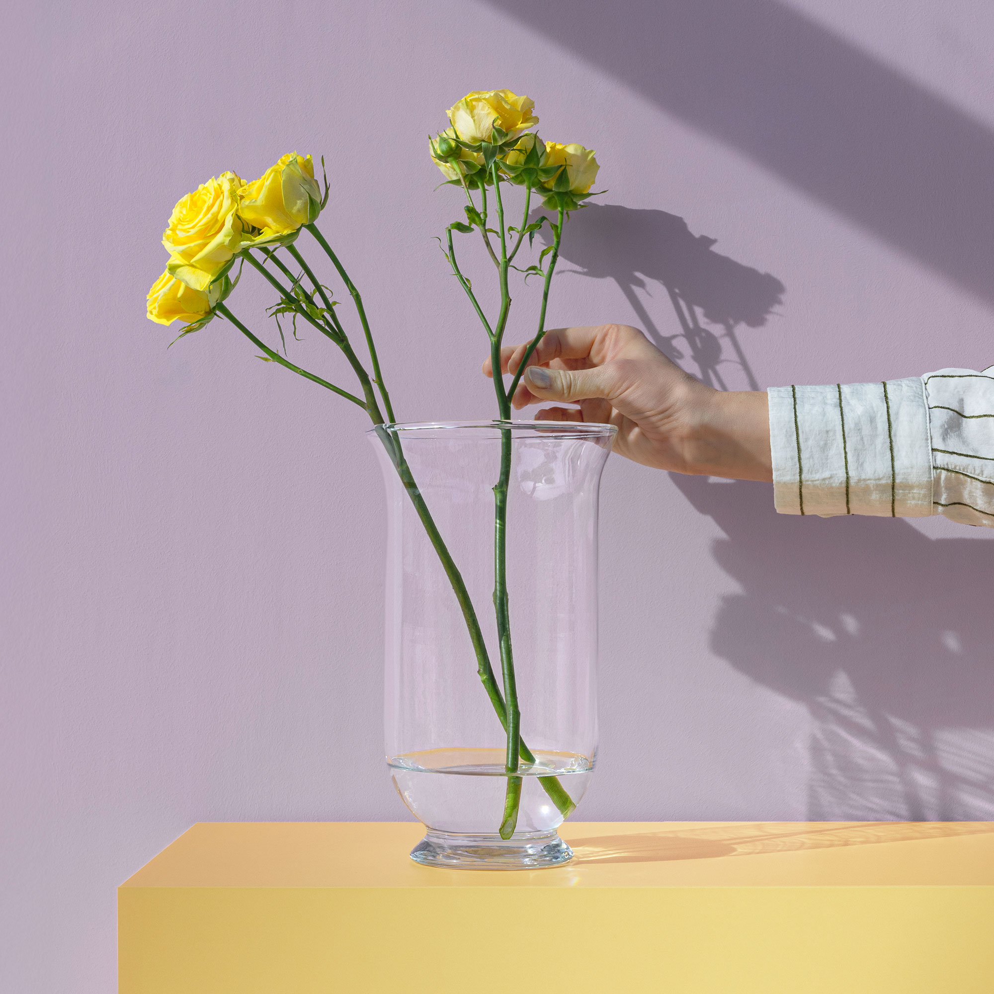 Nest – aranżacja 2